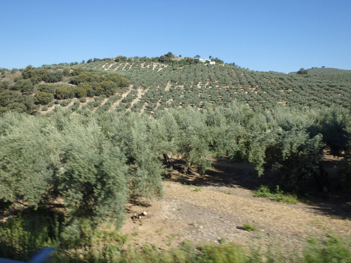 On the road to Montefr&iacute;o.